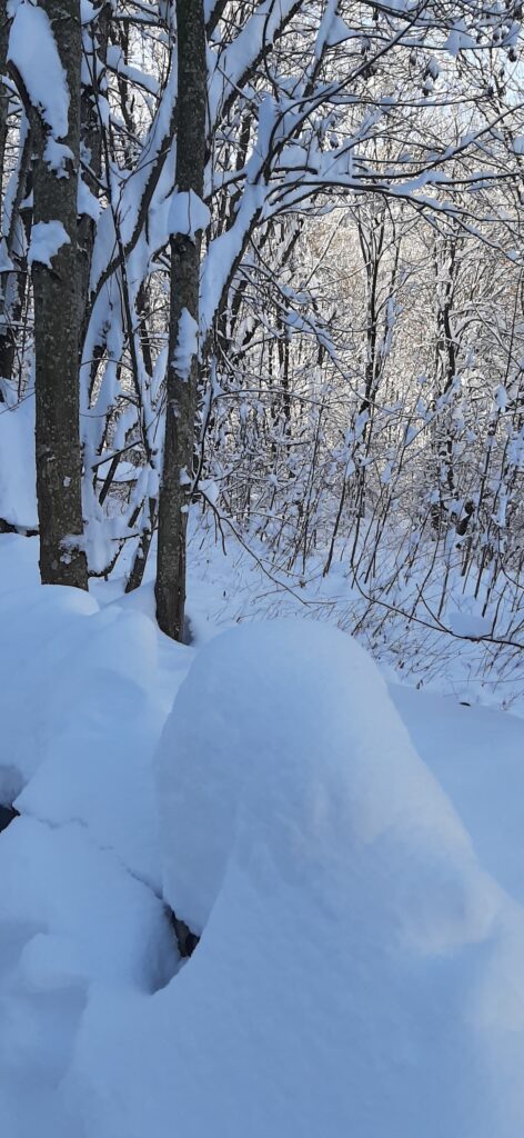 neve limone piemonte