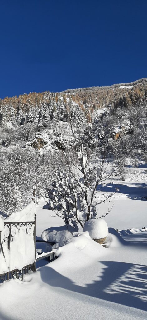 neve limone piemonte