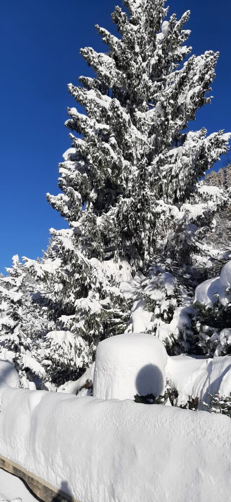 neve limone piemonte