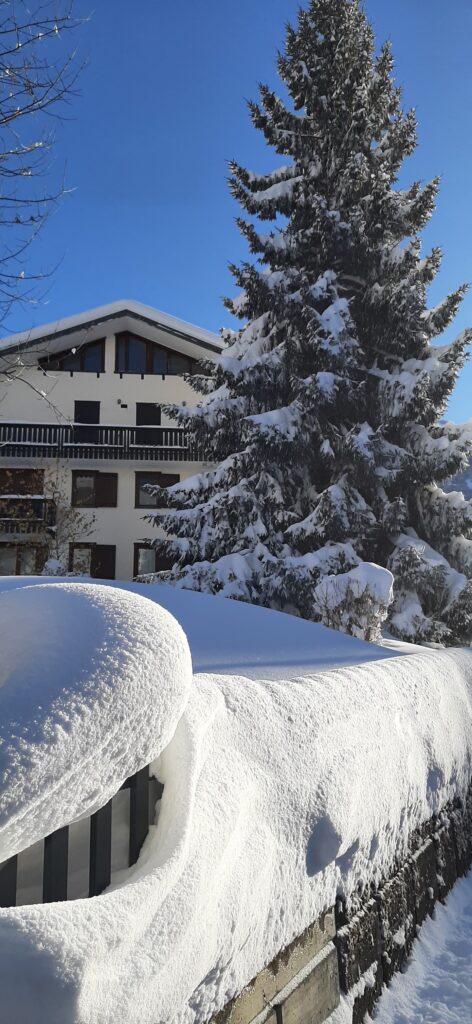 neve limone piemonte