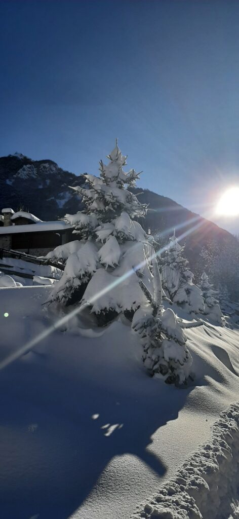 neve limone piemonte