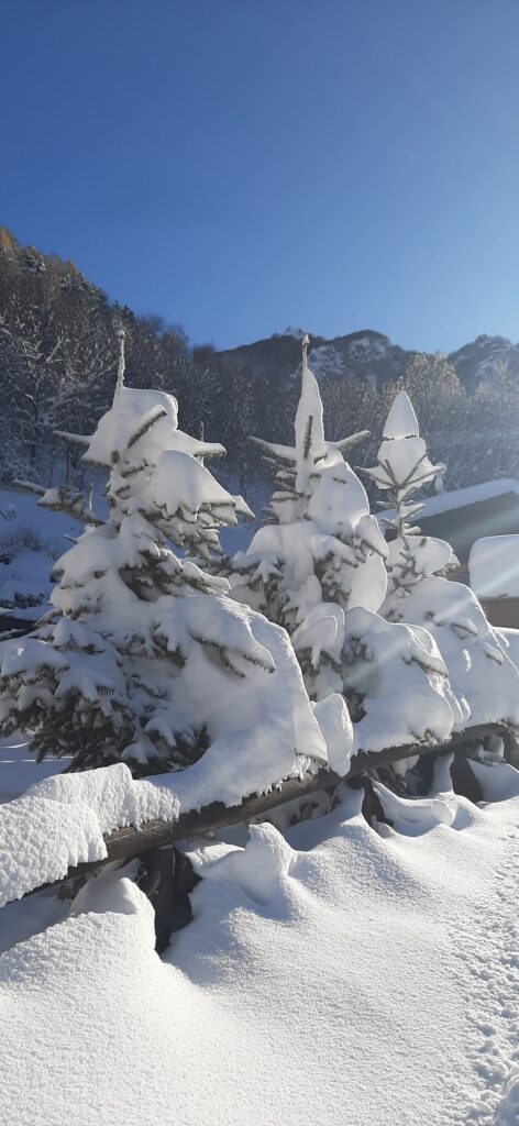 neve limone piemonte