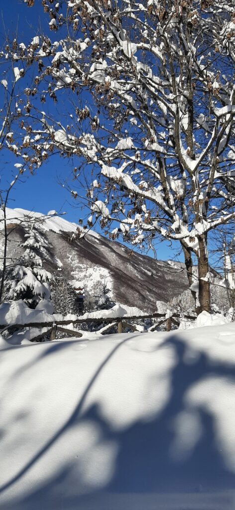 neve limone piemonte