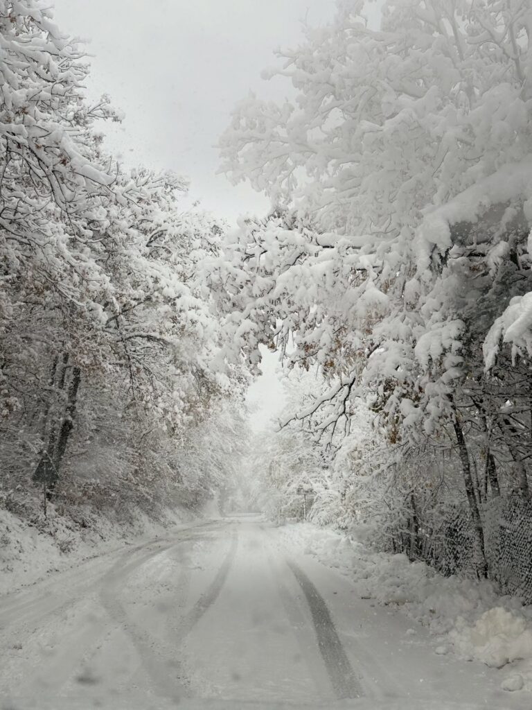 neve monte san vicino marche