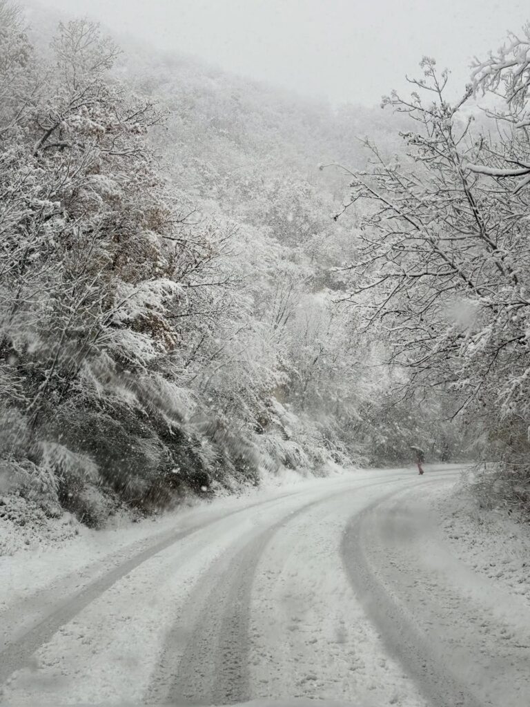 neve monte san vicino marche