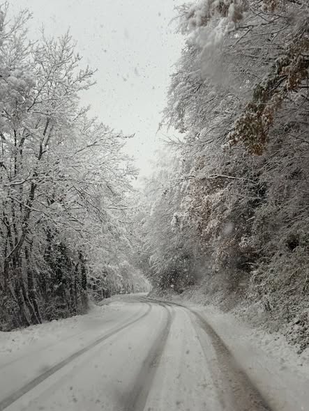 neve monte san vicino marche