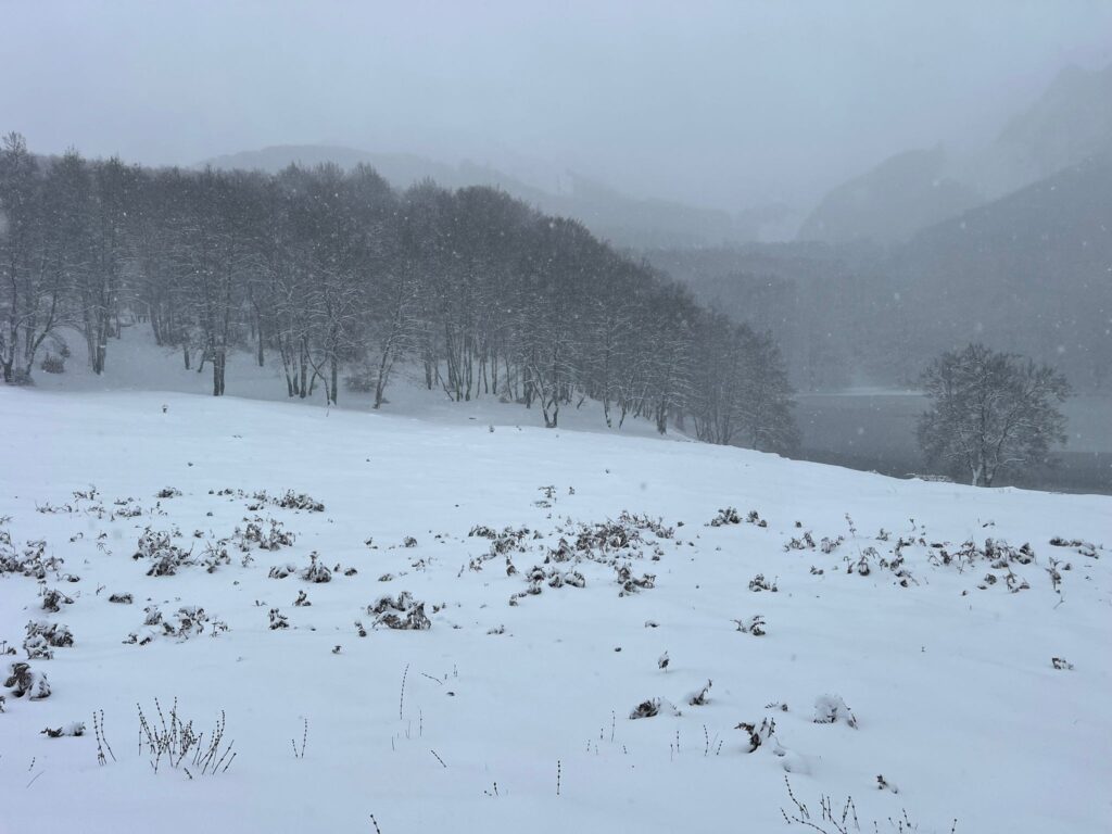 neve monte sirino basilicata