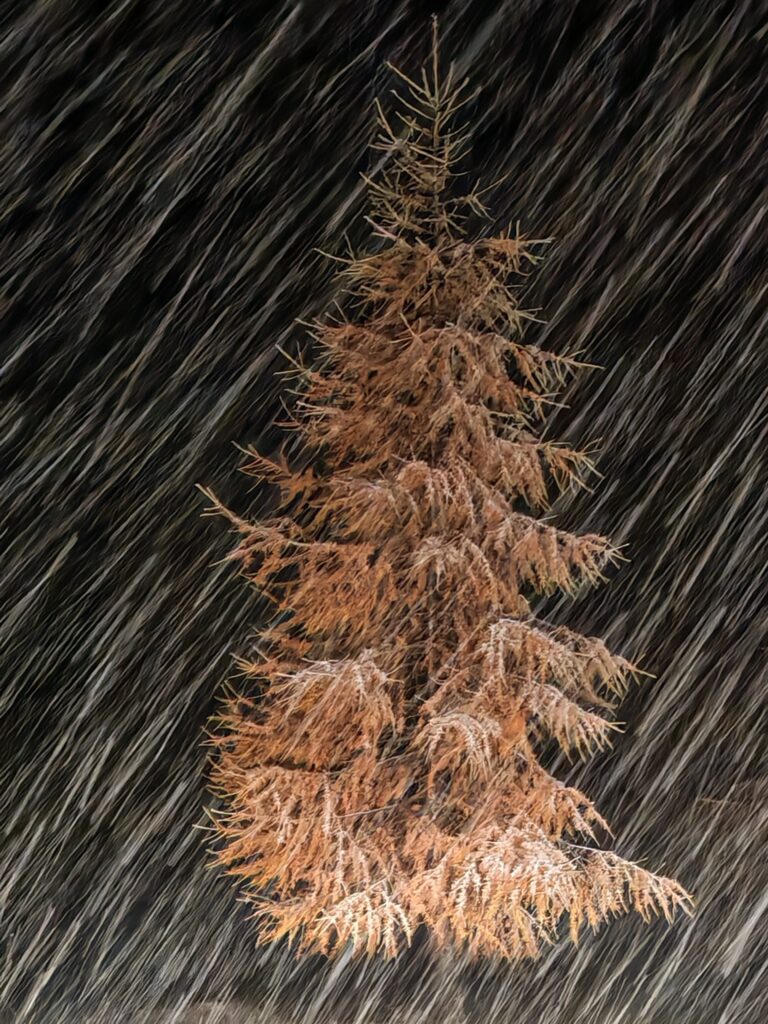 neve passo giau veneto