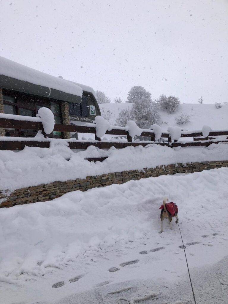 neve prati di tivo
