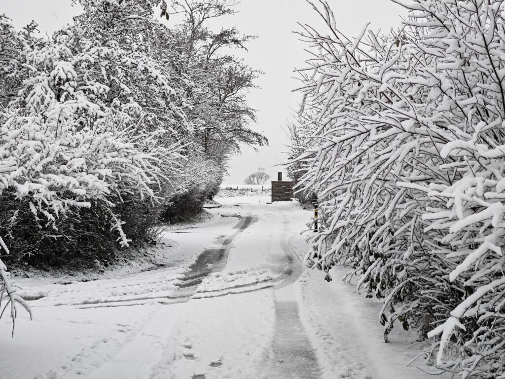 neve regno unito
