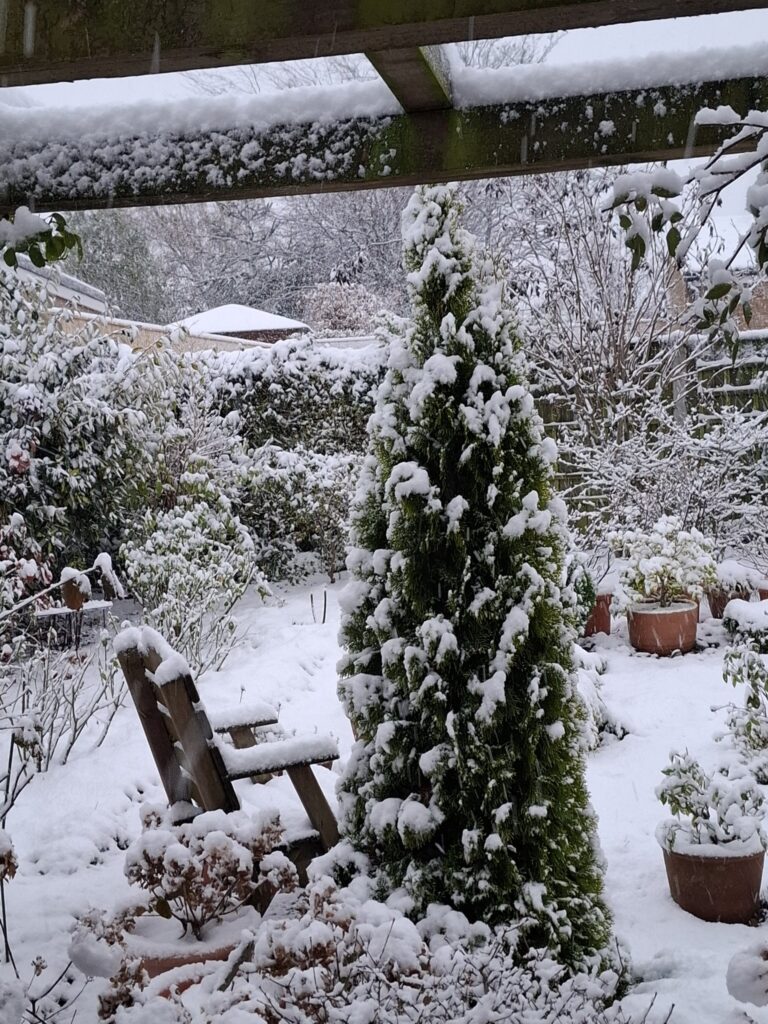 neve regno unito