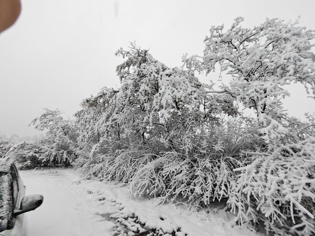 neve regno unito
