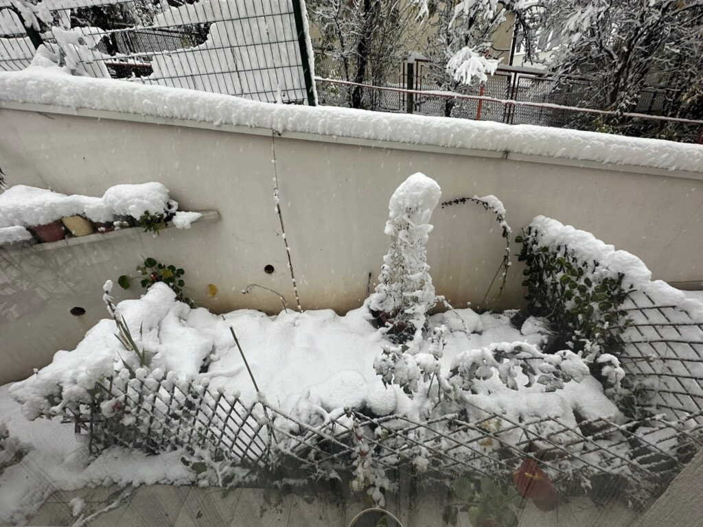 neve sarajevo bosnia
