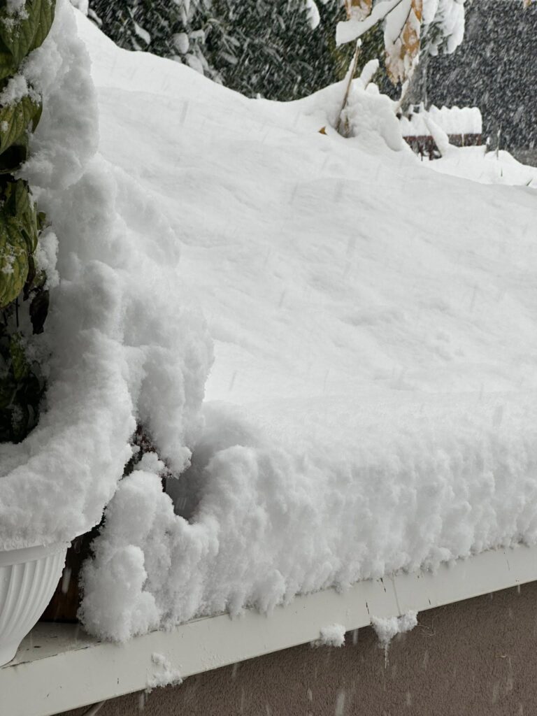 neve sarajevo bosnia