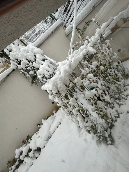 neve sarajevo bosnia