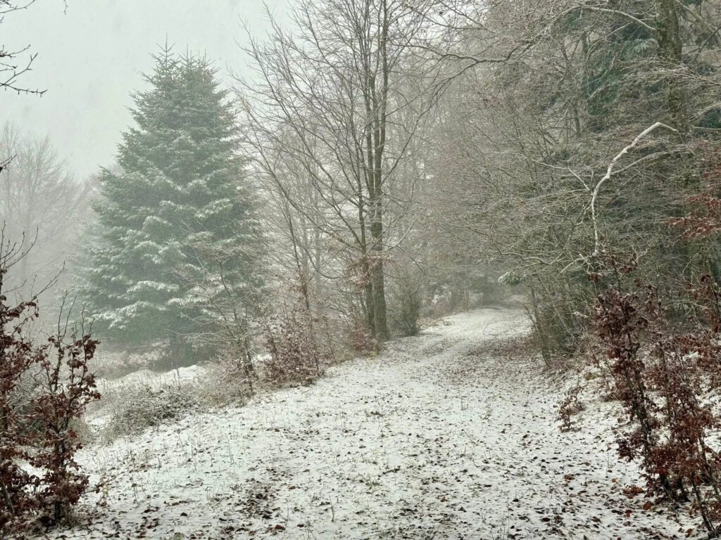 neve sila calabria