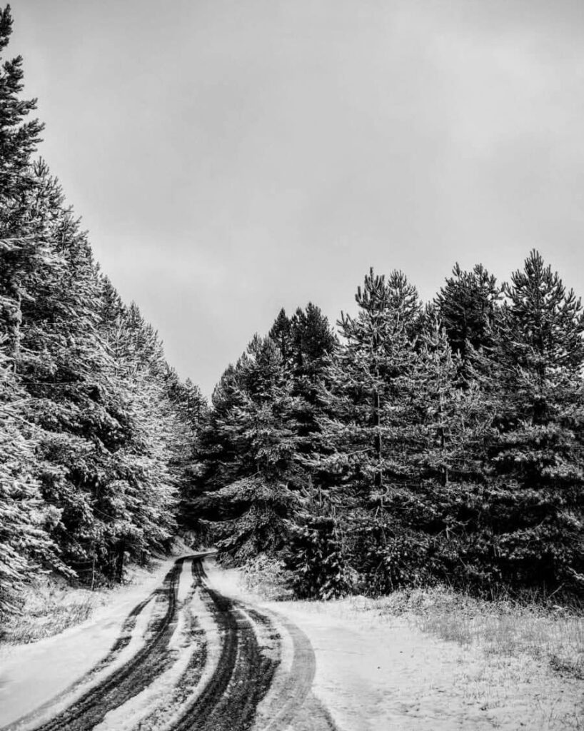 neve sila calabria