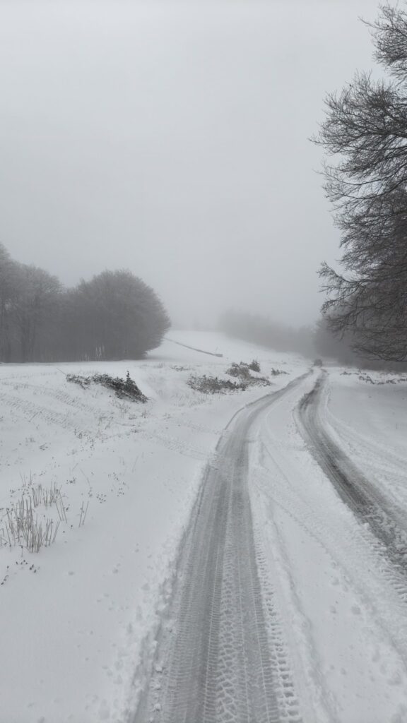 neve sila calabria