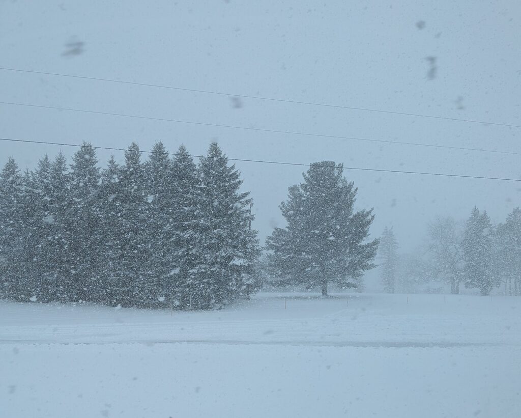 neve usa michigan