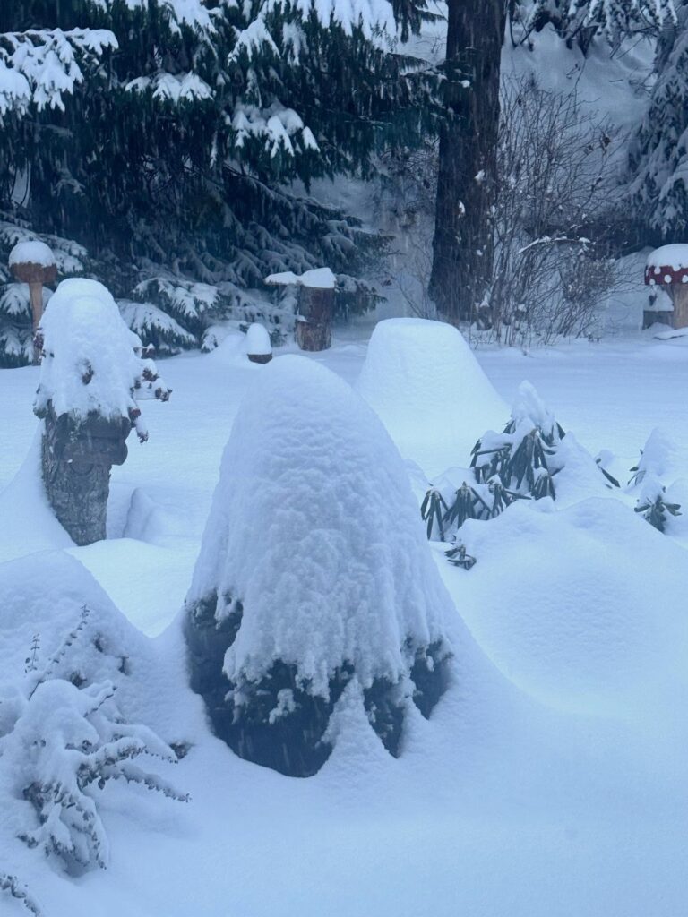 neve valle d'aosta courmayeur