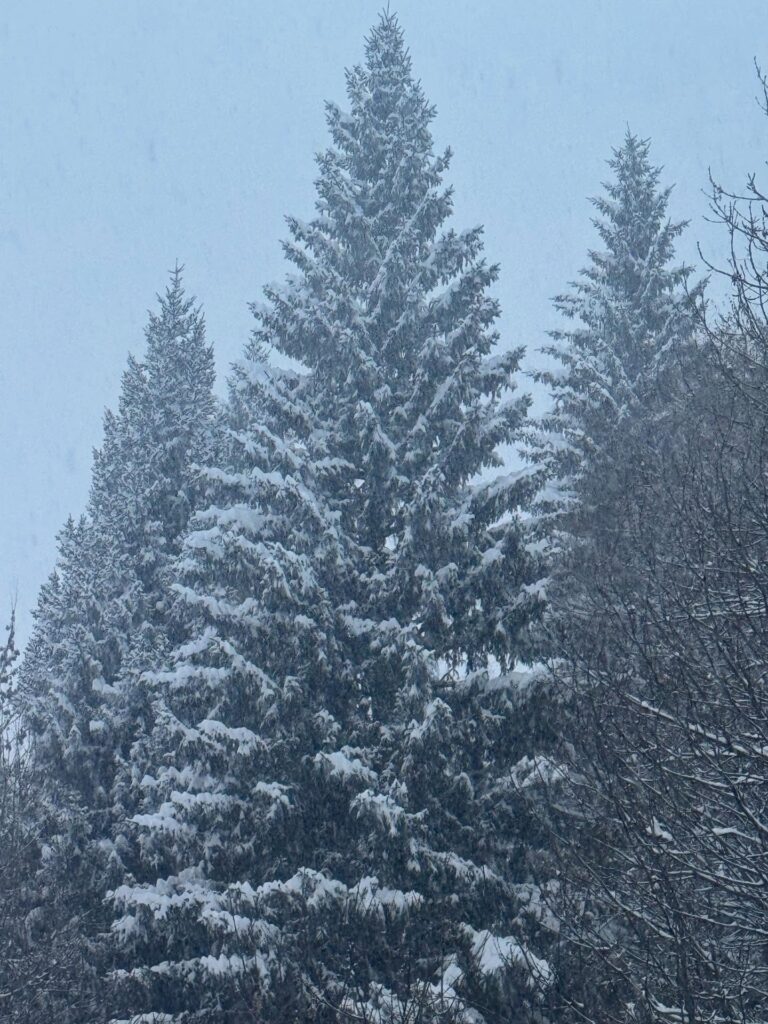 neve valle d'aosta courmayeur