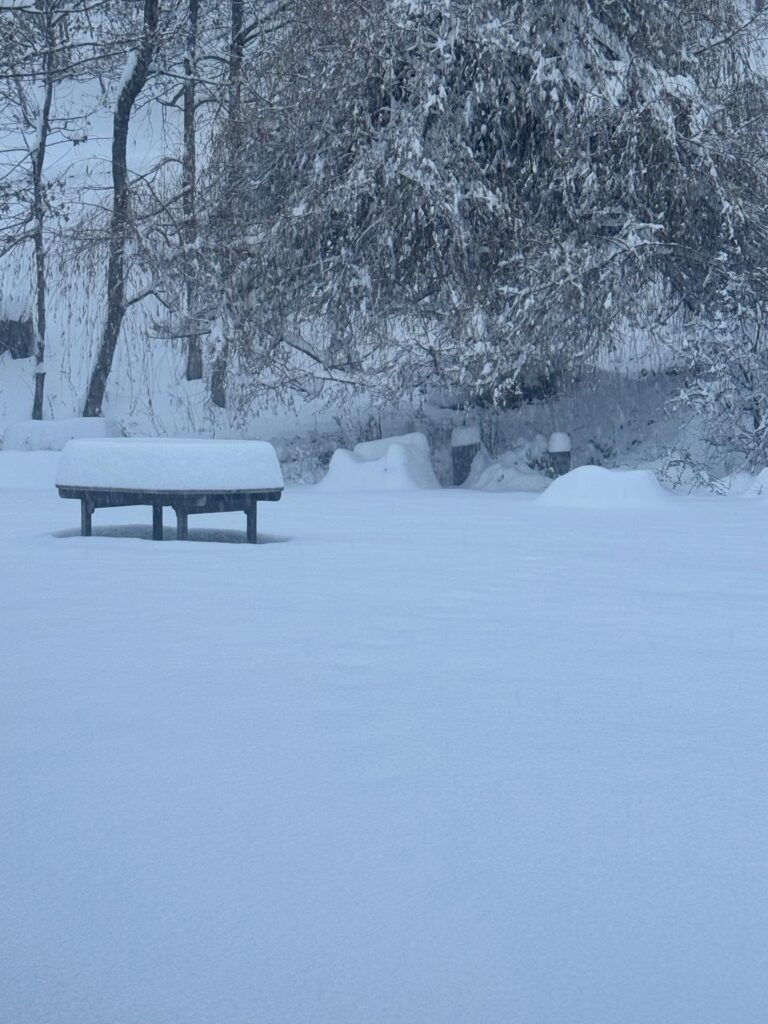 neve valle d'aosta courmayeur