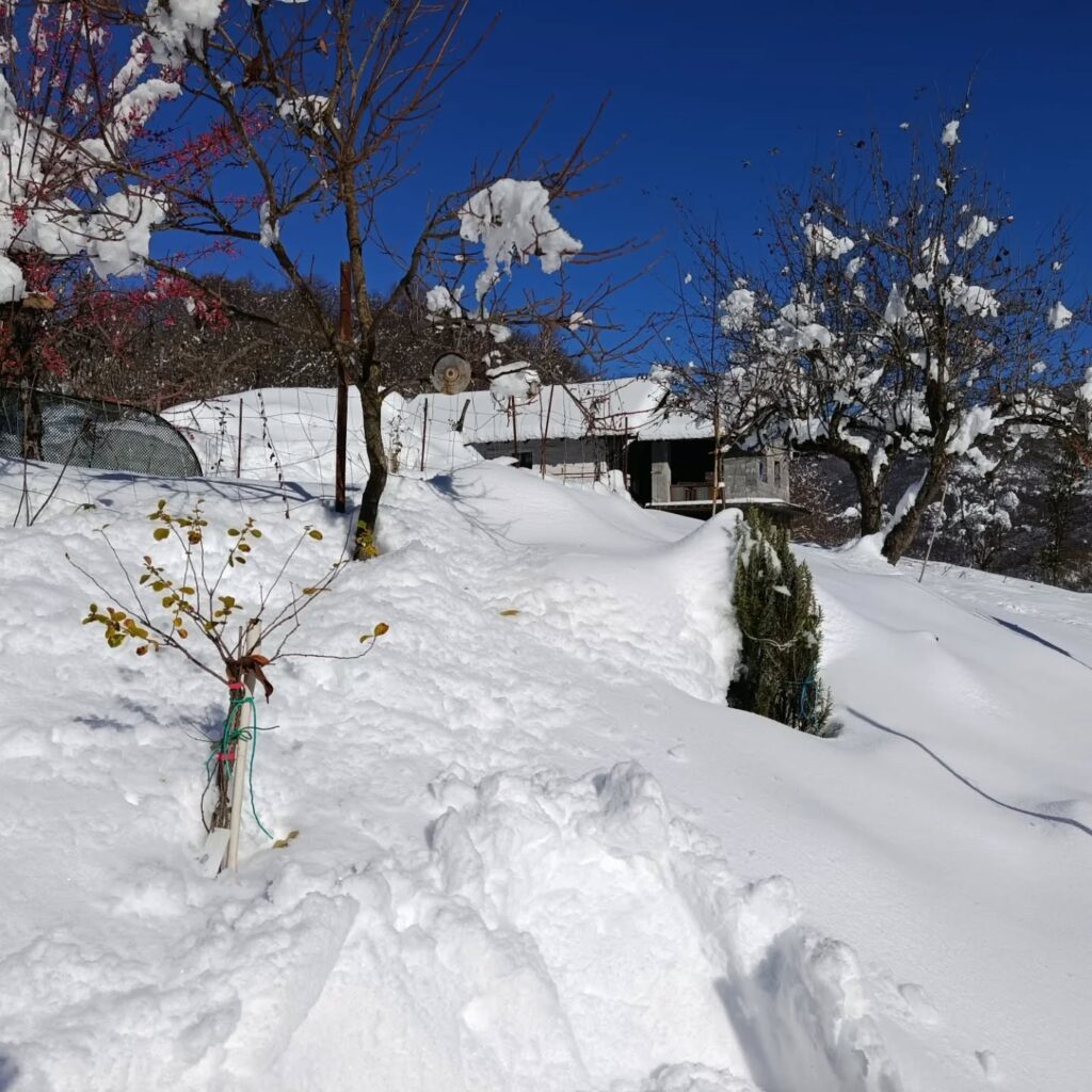 neve vernante piemonte