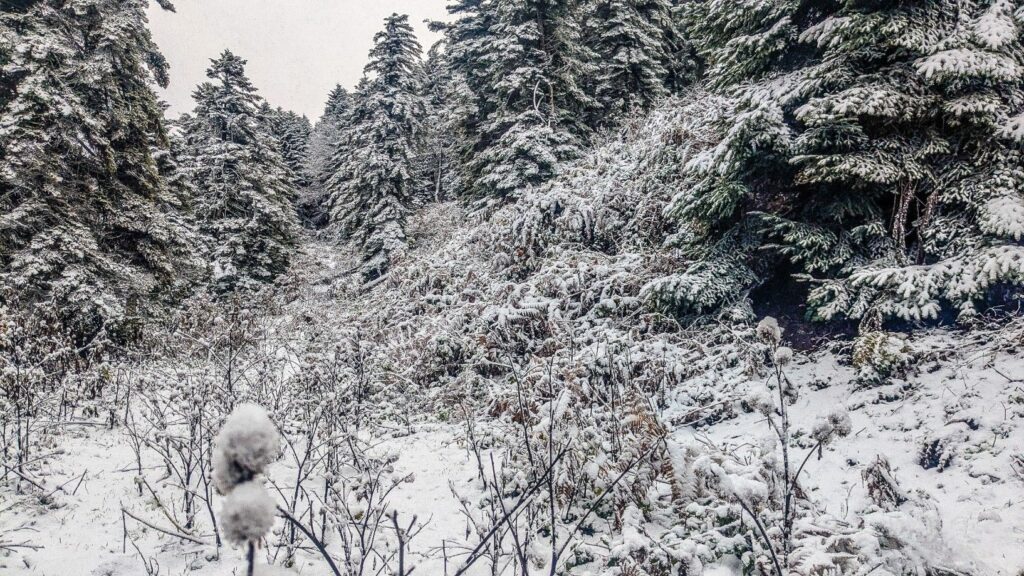 neve vulture basilicata