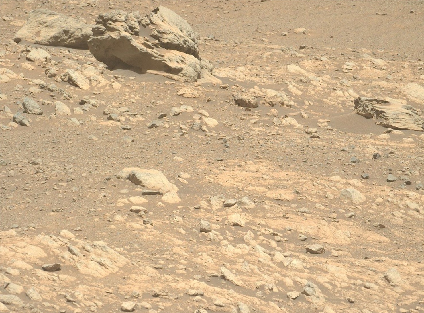 roccia marte perseverance