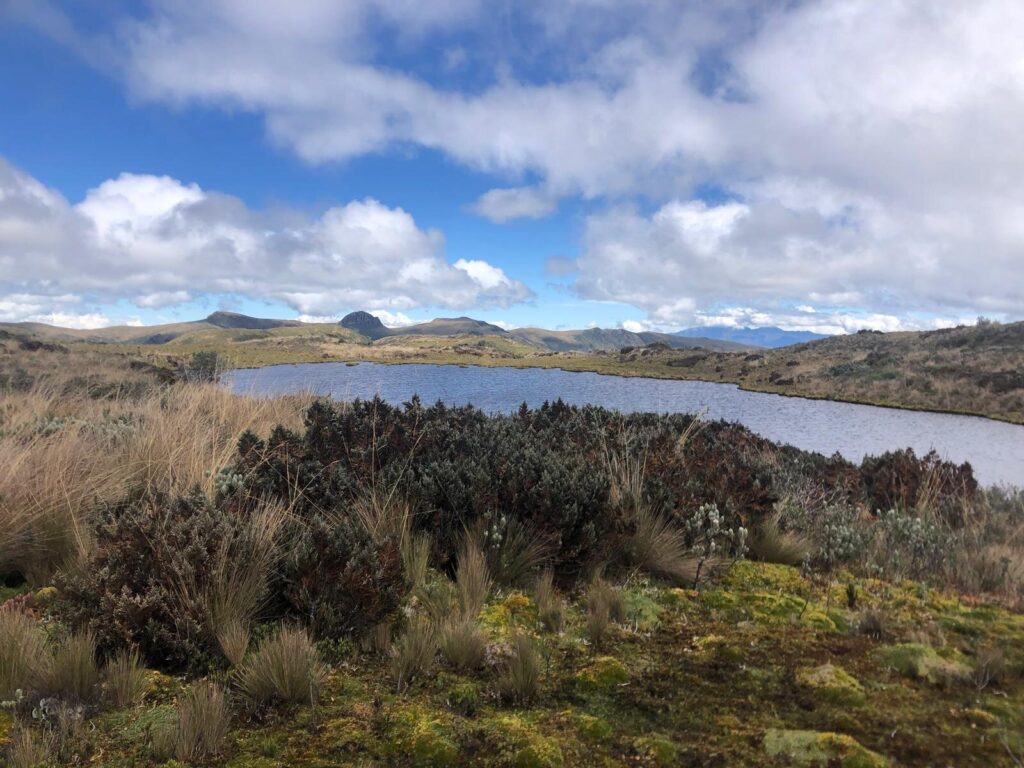 stagni ande cambiamento climatico