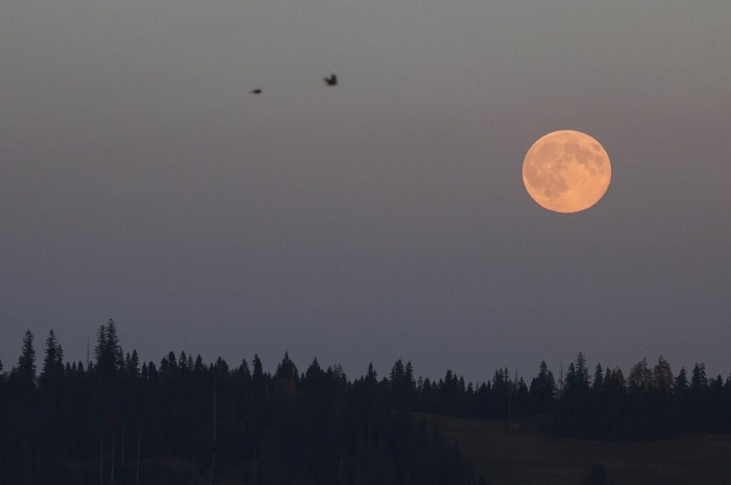 superluna 5 novembre 2025