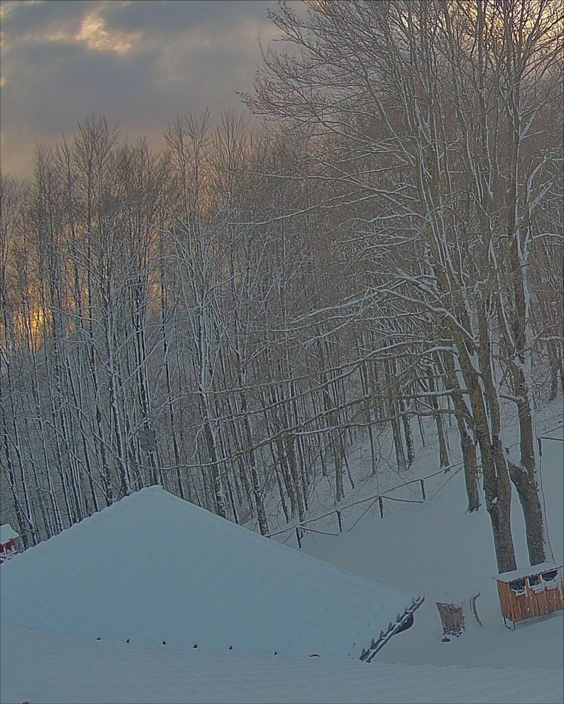 neve toscana