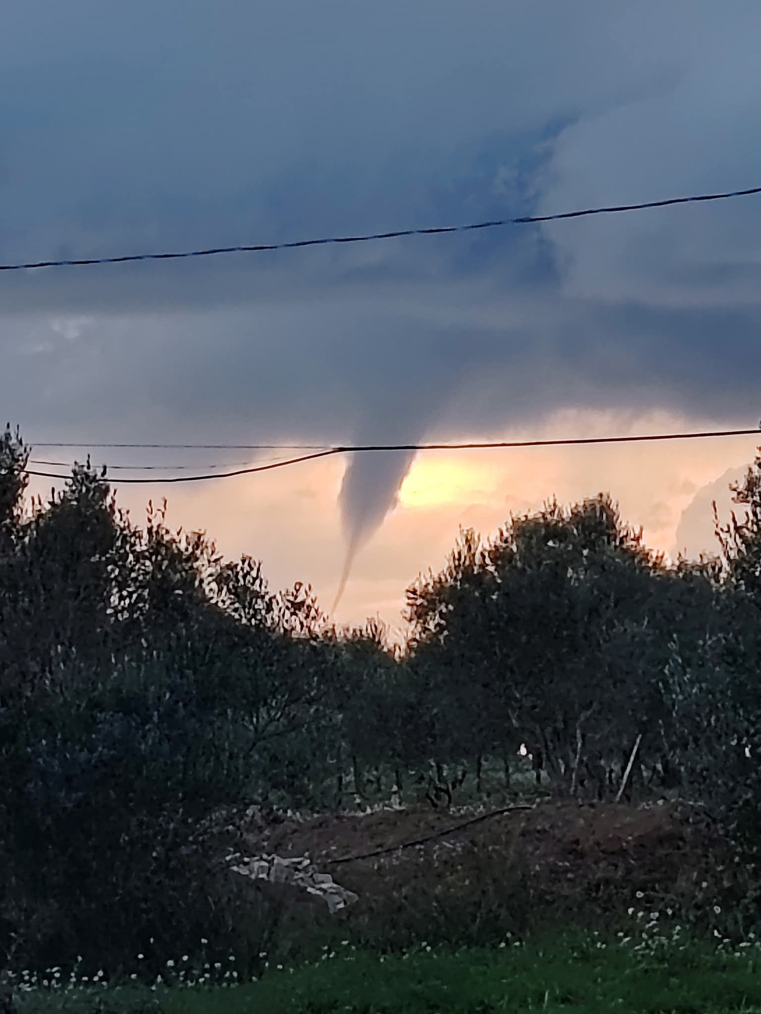 tromba marina gallipoli puglia