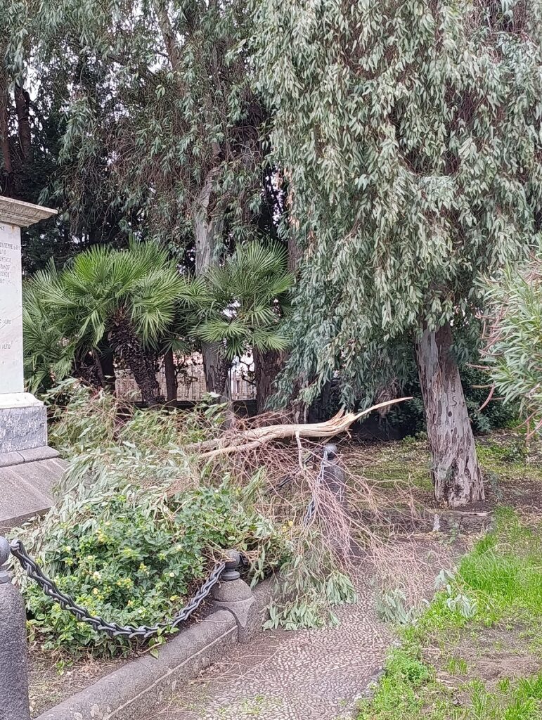 vento zafferana etnea