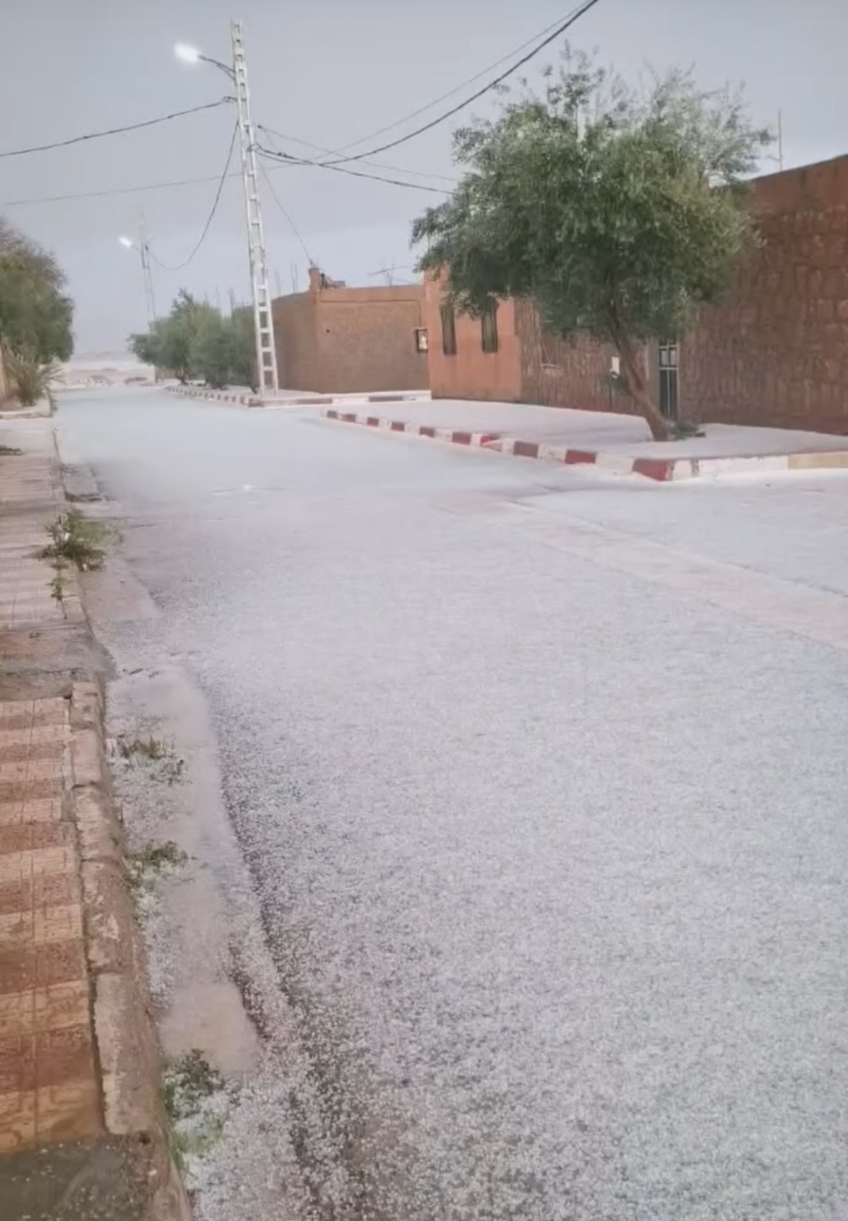 Grandine Algeria 14 dicembre