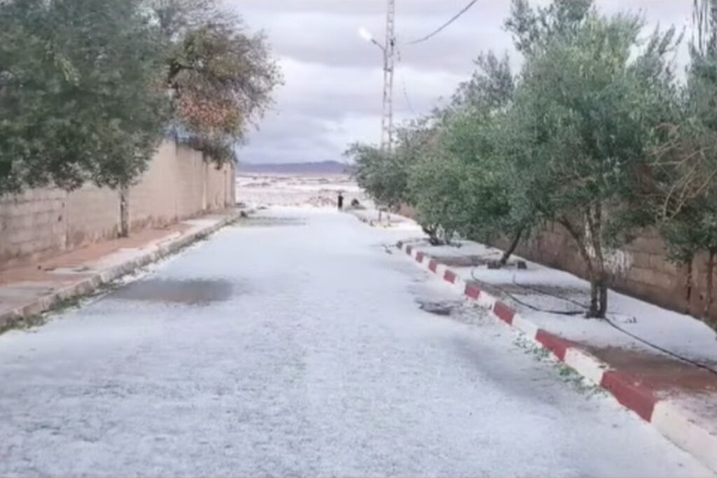 Grandine Algeria