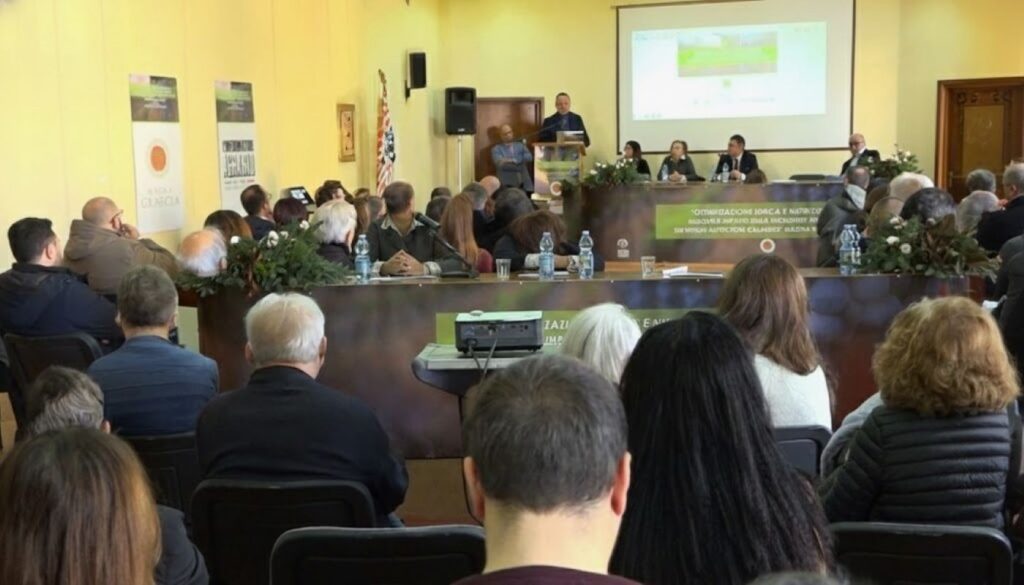 Magna Graecia Future