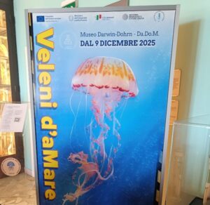 Mostra Veleni D'aMare