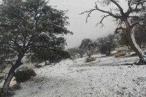 Neve Algeria 28 dicembre