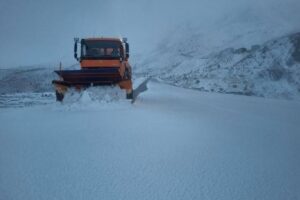 Neve Iraq