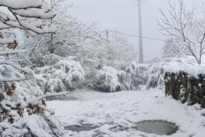 Neve Portogallo