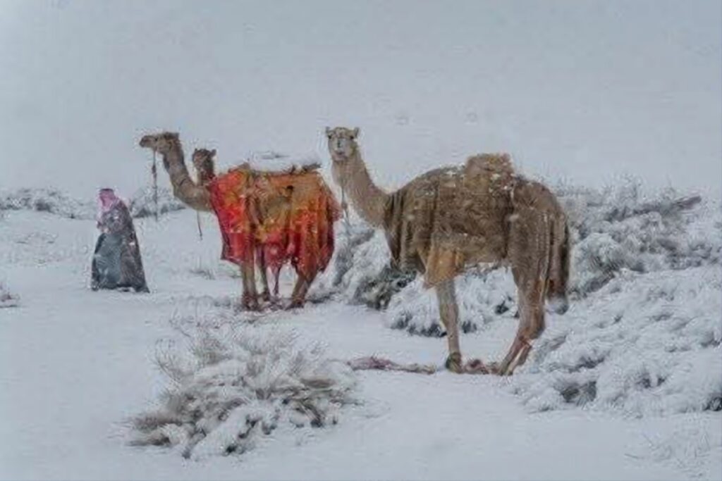 Neve deserto Arabia Saudita