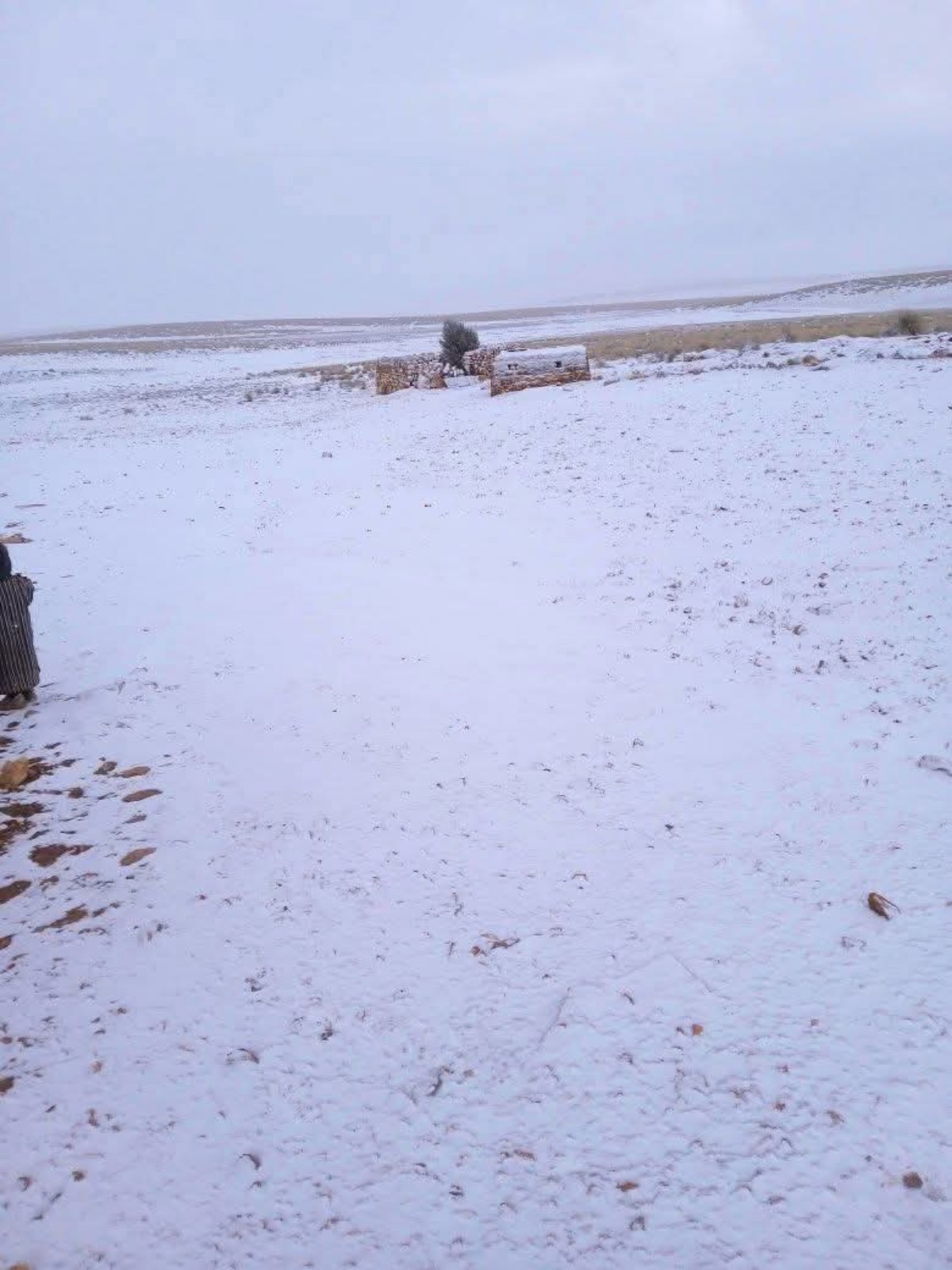 Neve deserto Arabia Saudita