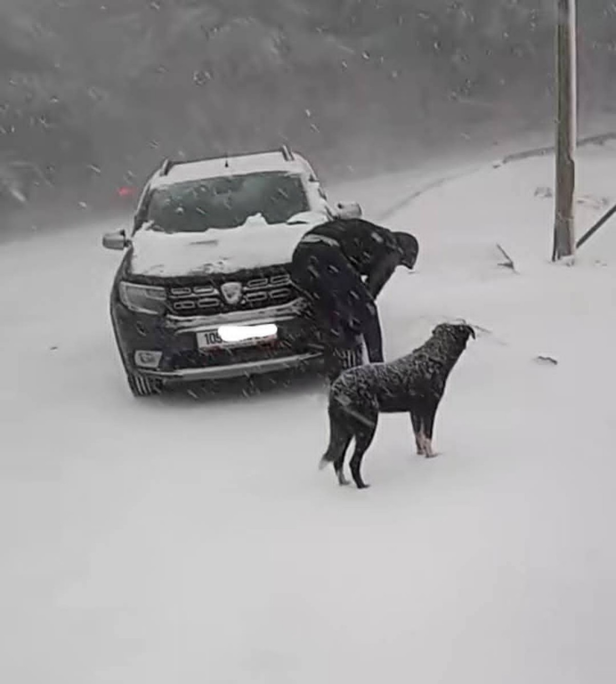 Neve e disagi Algeria 22 dicembre