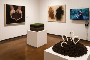 Soil Art Tales