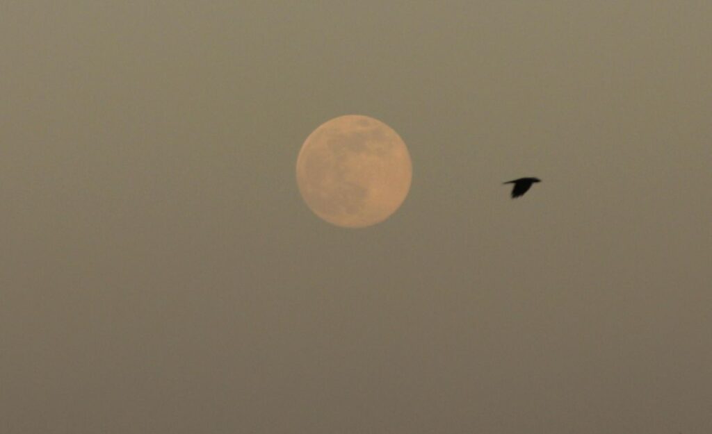 Superluna