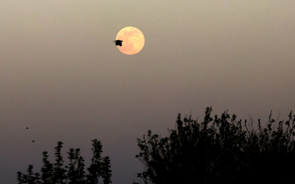 Superluna
