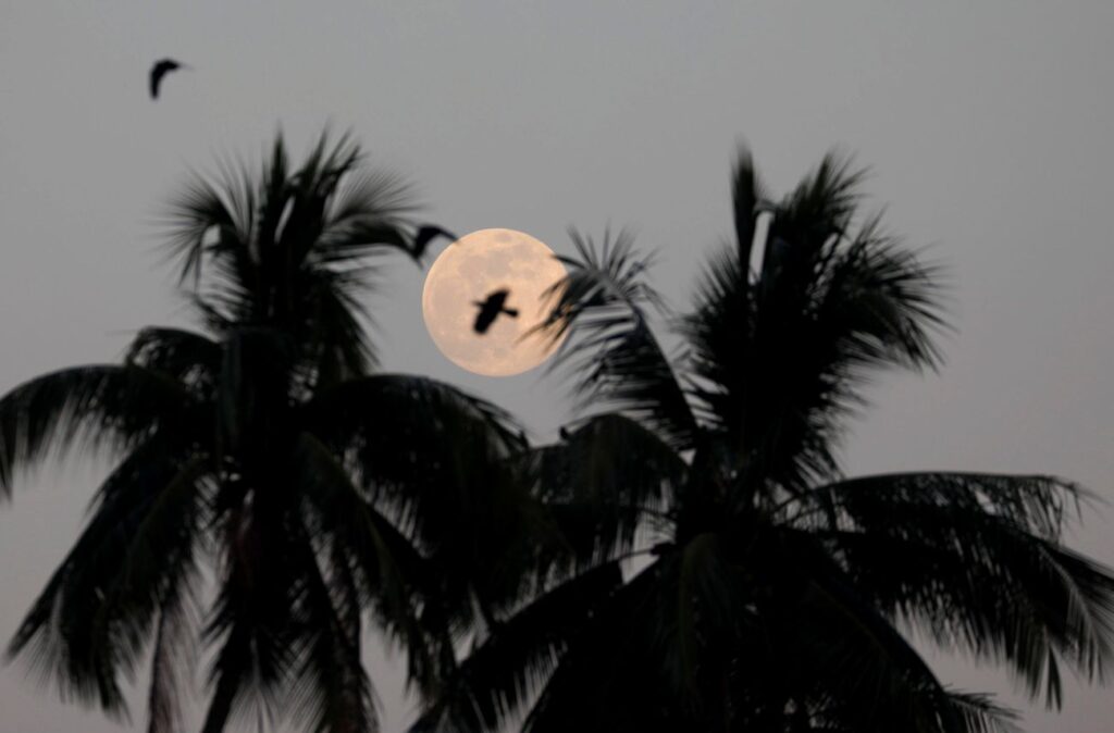 Superluna