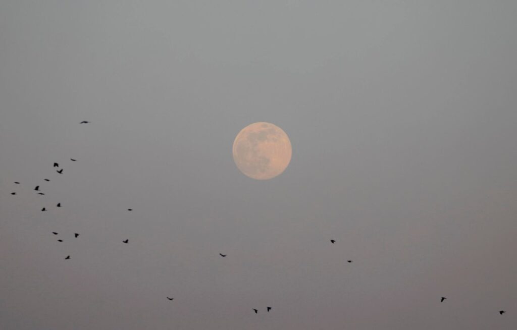 Superluna