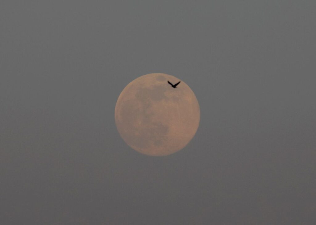 Superluna